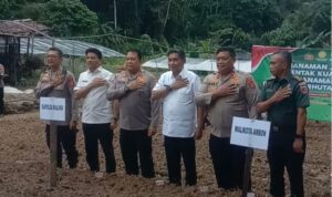 IMG_20250710_094614-800x507